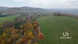 DJI_0737