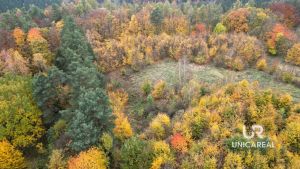 DJI_0753