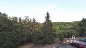Pronajem-bytu-3kk-Brno-Bystrc-Semberova-vyhled-lesy