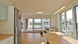 Pronajem-bytu-3kk-Brno-Sadova-Moskalykova-obyvak-3