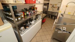 Restaurace-sedy-lev-Brno-zidenice-kuchyn-4