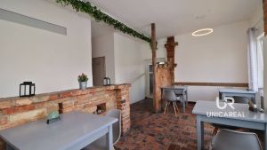 Restaurace-sedy-lev-Brno-zidenice-2N.P.-2