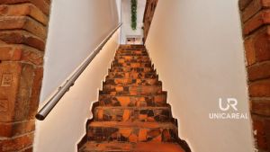 Restaurace-sedy-lev-Brno-zidenice-schodiste