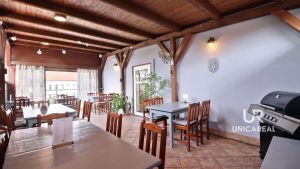 Restaurace-sedy-lev-Brno-zidenice-terasa-2