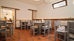 Restaurace-sedy-lev-Brno-zidenice-hospoda