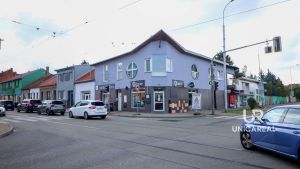 Restaurace-sedy-lev-Brno-zidenice