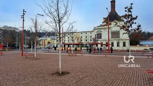 WhatsApp-Image-2024-02-12-at-09.08.07