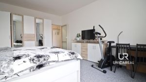 Pronajem-byt-21-Brno-Kralovo-Pole-Ruska-loznice-3