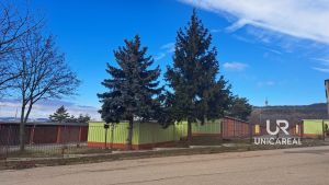 WhatsApp-Image-2024-01-22-at-09.13.20-3