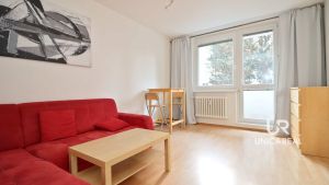 2-pronajem-bytu-21-ostruzinova-Brno-Medlanky-obyvaci-pokoj