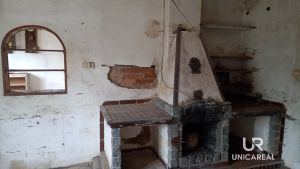 IMG_20221027_121949