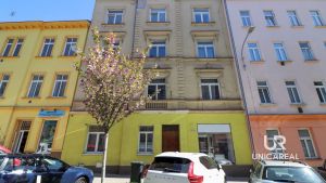 pronajem-bytu-3kk-Bayerova-Brno-Veveri-13