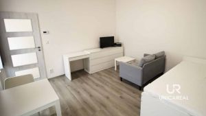 pronajem-bytu-1-1-ul-plotni-brno-komarov-img-6819-512157