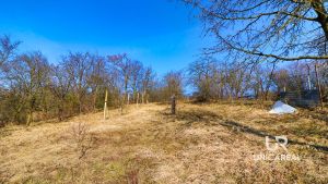 prodej-domu-mourinov-unicareal-9