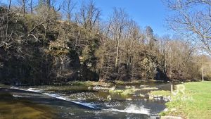 IMG_20250404_105411