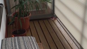 161BBDC3-5E00-46AB-B38A-B971D5255A26