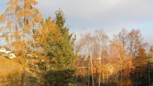IMG_1047
