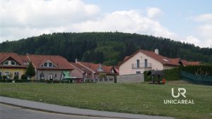SAM_5947
