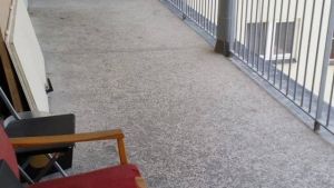 13730492_1505234786168689_922801472_o