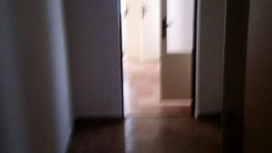 13694192_1505234699502031_1323932701_o