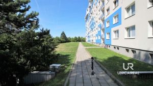 2015-08-26-13.38.13-2