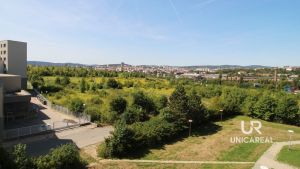 2015-08-26-13.29.21-2