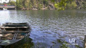 60320388_2323142587745863_2668308751160705024_n