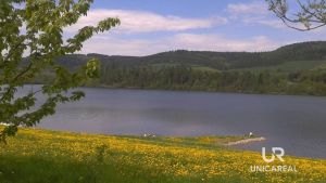 60411085_609174706229657_8381061965799227392_n