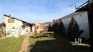 IMG_8810-2
