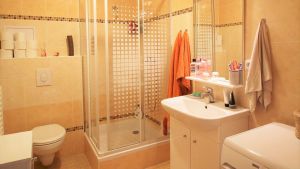 prodej-bytu-v-ov-2-kk-ul-na-kovarne-brno-sobesice-img-0458-b0c10f