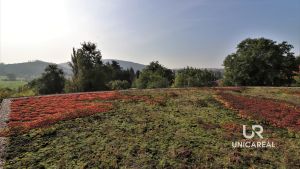 IMG_0151