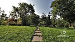 IMG_0087
