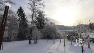 IMG_2706