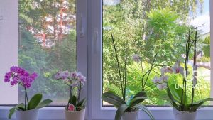 prodej-bytu-21-bucovice-unicareal-12