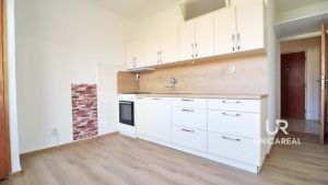 Prodej-bytu-11-Brno-Reckovice-Zitna