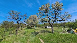 prodej-chaty-se-zahradou-zidlochovice-okres-brno-venkov-unicareal-8