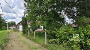 IMG_20250802_1107561