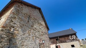 IMG_7303