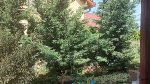 prodej-domu-Bozice-4