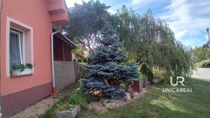 RD-Bozice-okres-Znojmo-4