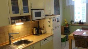 Pronajem-bytu-21-Konikleco-Brno-Novy-Liskove-7-kuchye