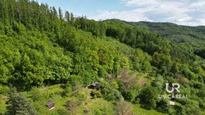 Prodej-zahrada-Boskovice