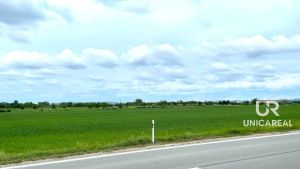 prodej-pole-11-752-m2-brno-turany-3-3f3700