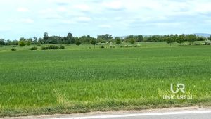 prodej-pole-11-752-m2-brno-turany-4-b8044c