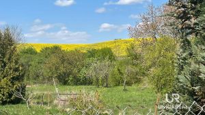 IMG-20260429-WA0008
