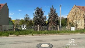 IMG-20260429-WA0009