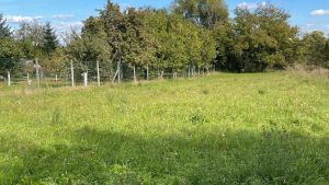 WhatsApp-Image-2026-02-18-at-11.13.47-8