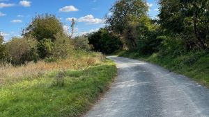 WhatsApp-Image-2026-02-18-at-11.13.47-5