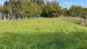 WhatsApp-Image-2026-02-18-at-11.13.47-6