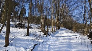 Prodej-pozemku-Horni-Hyncina